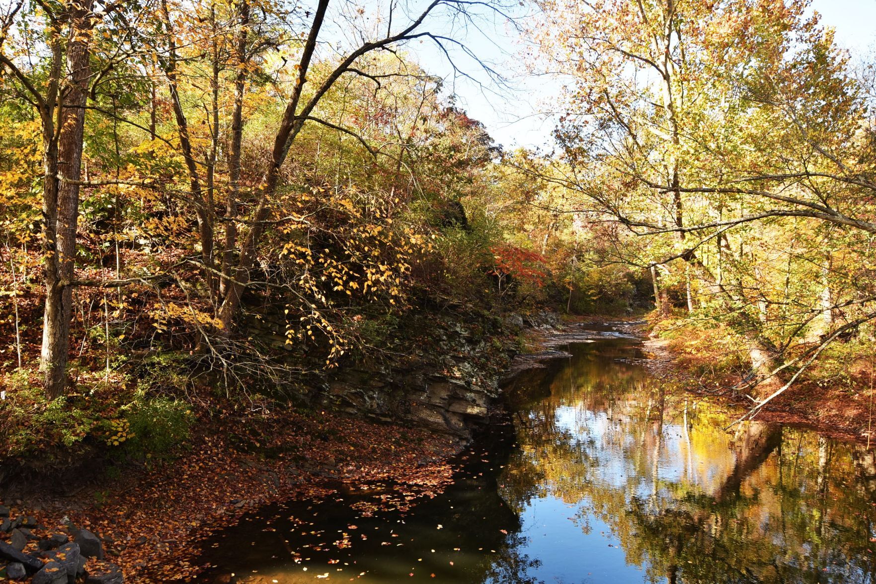 Roaring Creek colors